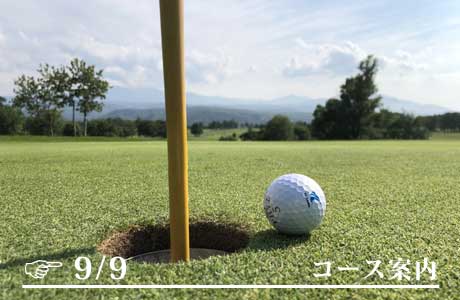 https://anchor-golf.com/gwp/wp-content/uploads/2021/07/post_293-13.jpg