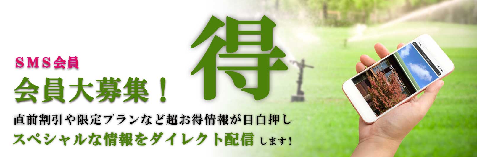 classic_top_toku